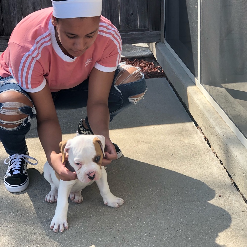 Meet your Posher, Maia